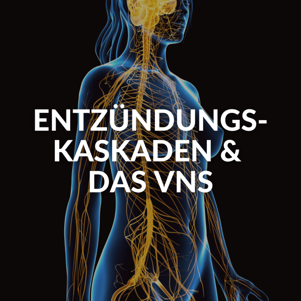 Entzündungs-kaskaden & das VNS